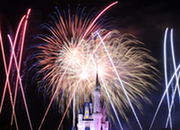 Disney Youth Education Series Program 
ディズニー・ユース・エデュケーション・シリーズ・プログラム